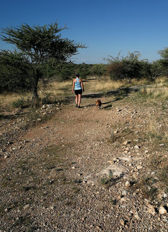 Etotongwe Lodge Оутджо Екстериор снимка